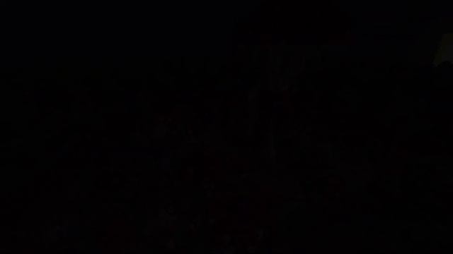 Mushroom Forest Trailer смотреть онлайн