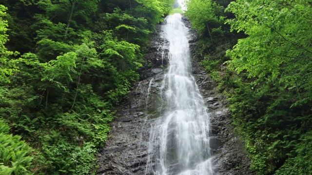 Вдохновение тела! Музыка для йоги, медитации и расслабления! смотреть онлайн