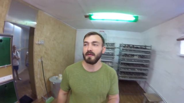 Я - фермер. Экскурсия по мини-ферме. Документы для реализации продукции. смотреть онлайн