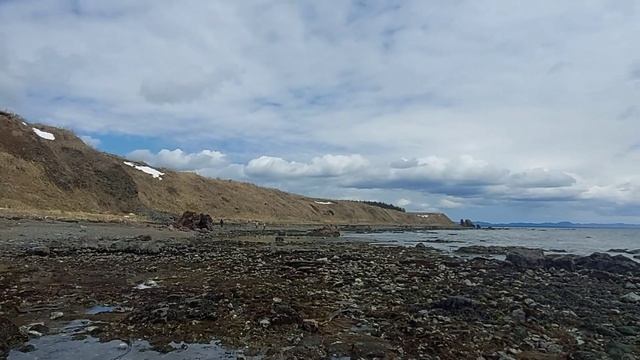 Сахалинская рыбалка бывает и неудачной #сахалин #природа #море смотреть онлайн