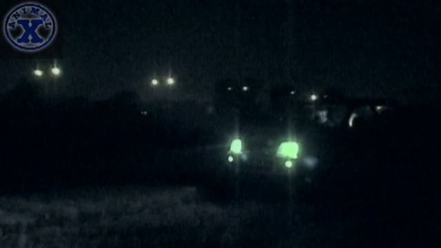 АМЕРИКАНСКИЙ БОЛЬШЕНОГ - ЕСТЬ ДОКАЗАТЕЛЬСТВА! Леденящий ужас. смотреть онлайн