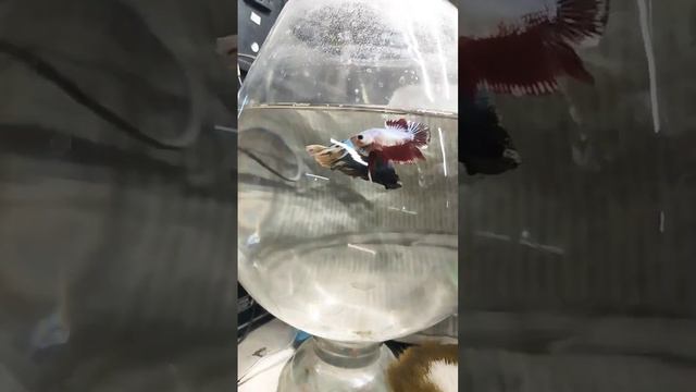 8 February 2024 смотреть онлайн