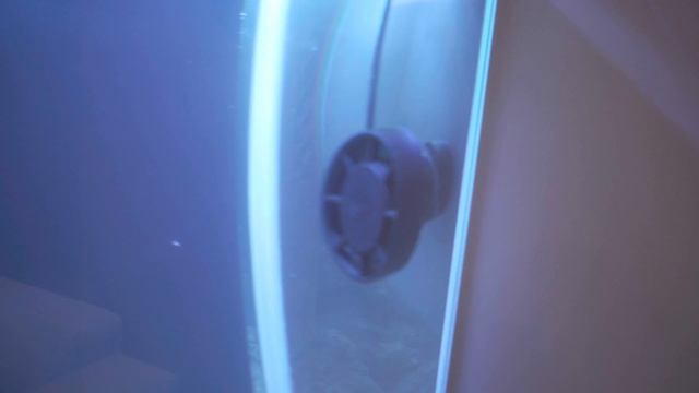 Об автодоливе в морском аквариуме, бактериях и фильтрации смотреть онлайн