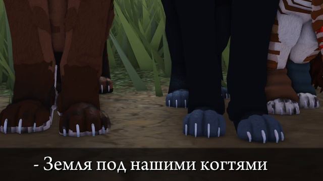 Коты Воители / Wcue / Yaelokre / Meme