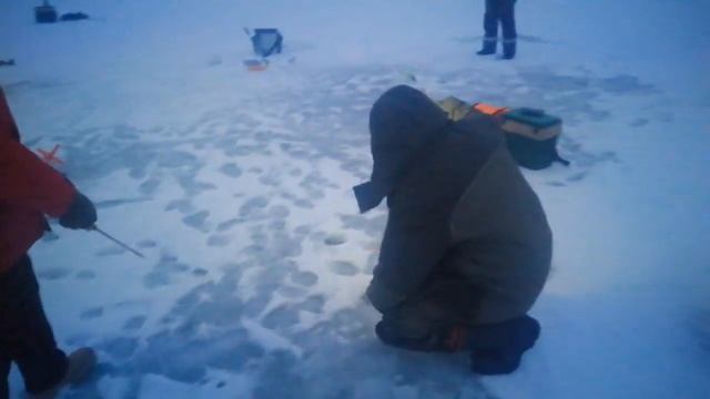 Рыбин Гуд Ильинское. Утренний клёв форели смотреть онлайн