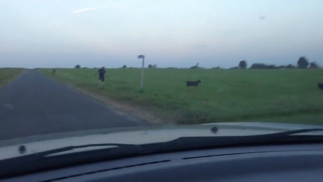 Тесак добывает мясо смотреть онлайн