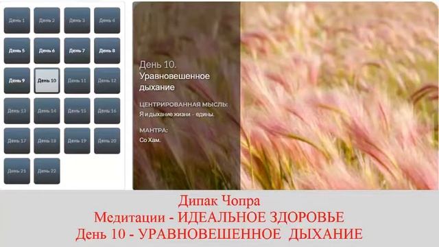 ИДЕАЛЬНОЕ ЗДОРОВЬЕ. Дипак Чопра. День 10. УРАВНОВЕШЕННОЕ ДЫХАНИЕ. смотреть онлайн