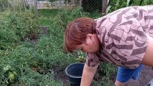 Моя жизнь в деревне. Хроника .