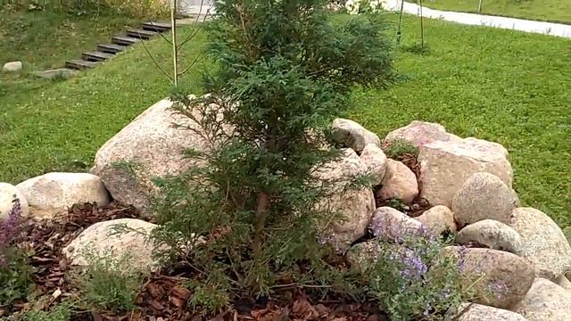композиция с камнями смотреть онлайн