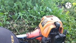 Обзор триммера Carver GBC 043 M