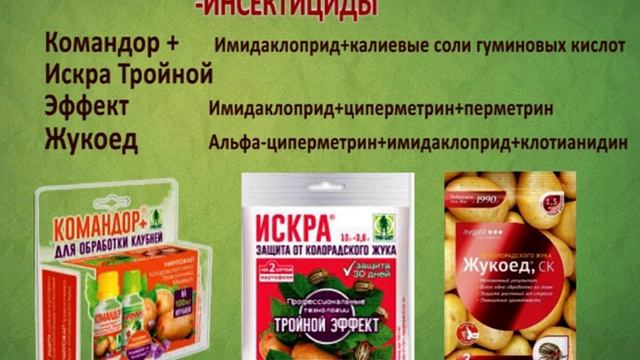 Зеленый сад Урок №5 "Препараты для защиты сада и огорода" М.А. Заварухин zeleniisad.ru смотреть онлайн