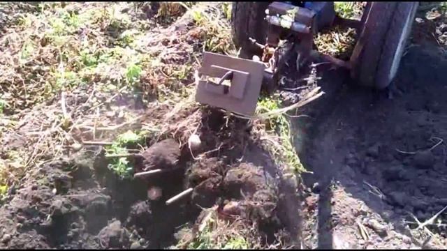 Копаю картошку мотоблоком с адаптером