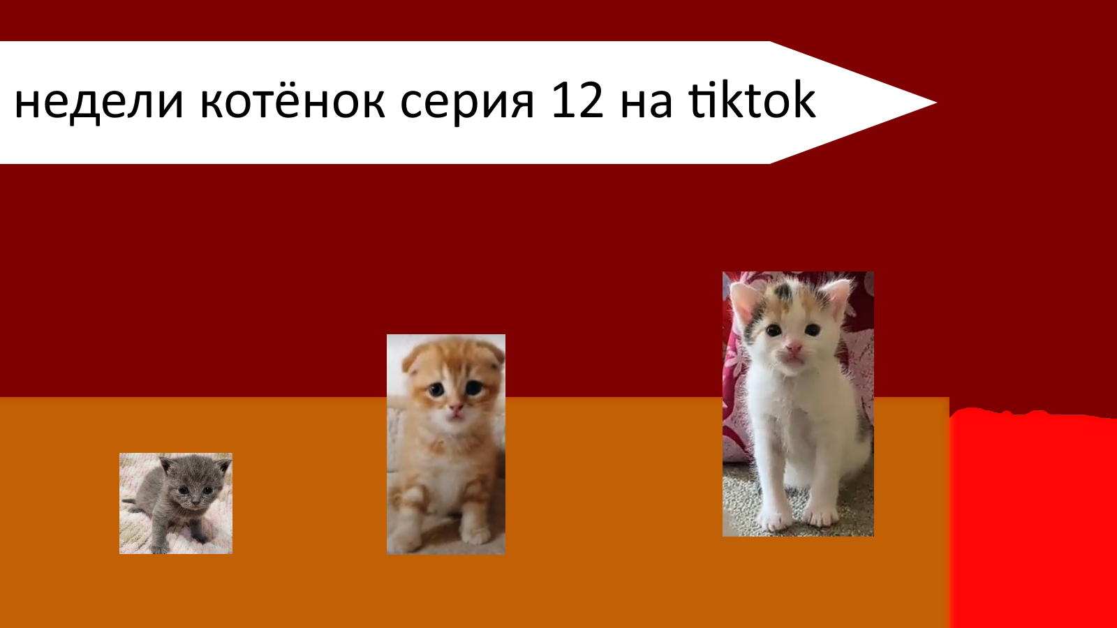 Недели котёнок серия 12 на tiktok смотреть онлайн