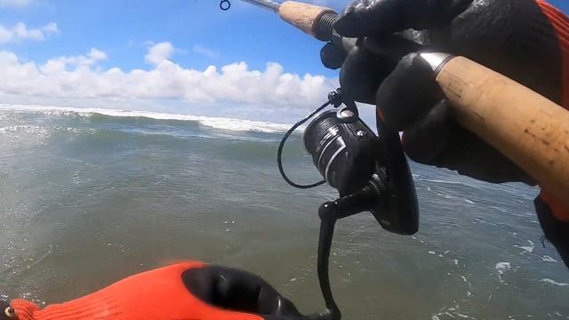 Monster Redtail Surf Perch!!! смотреть онлайн