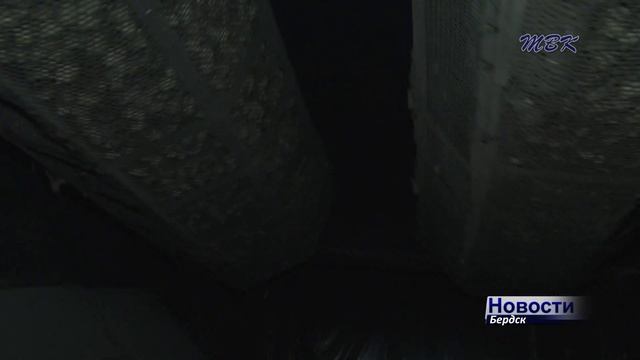 Путь ёлки к праздничному торжеству: как бердский лесхоз заготавливает новогодние ели? смотреть онлайн