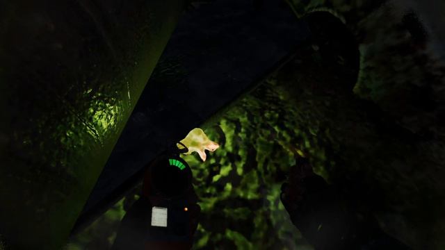 Stalker Anomaly GAMMA #4