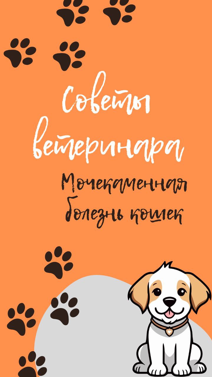 Мочекаменная болезнь кошек смотреть онлайн