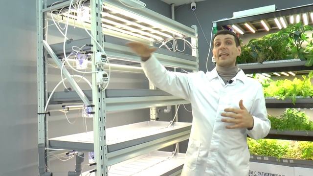 Обзор лучших гидропонных установок от СЕЕМ СЕМЕНА смотреть онлайн