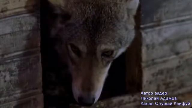 Очень классная песня послушайте вам понравится