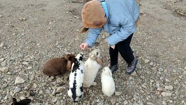 Кроликопарк в Танковом \ Парк Кроликов #крым2021 смотреть онлайн