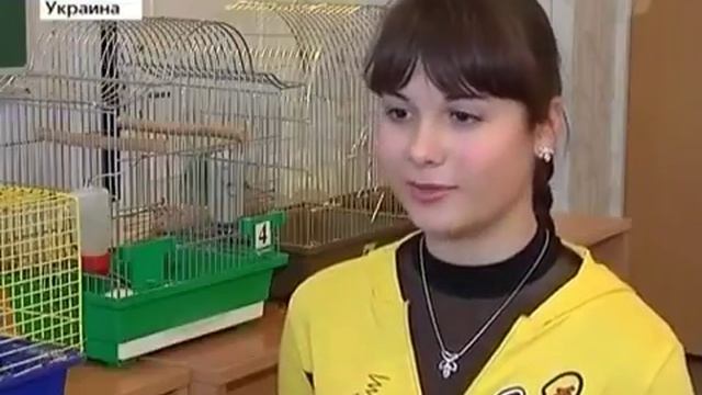 Не еште чипсы колу сухарики это вредно! смотреть онлайн