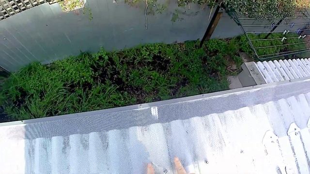 Installing Gutter Guard For Rodent Control смотреть онлайн