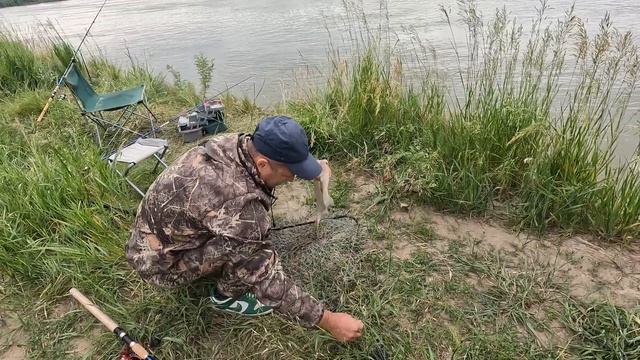 Долгожданное открытие! Рыбалка на фидер. Иртыш 2023. Тест сигнализаторов с АлиЭкспрэс смотреть онлайн