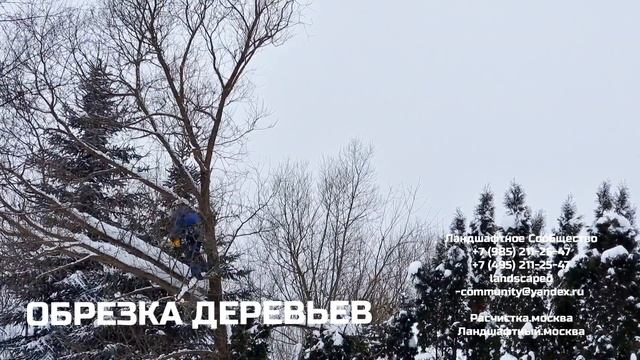 Обрезка деревьев. Спилить дерево на своем участке без повреждений строений. смотреть онлайн