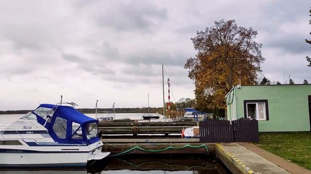 ЧОМУ ПОЛЯКИ ЇЗДЯТЬ ПО ГРИБИ В НІМЕЧЧИНУ? МІЙ ВИХІДНИЙ ЗА МІСТОМ