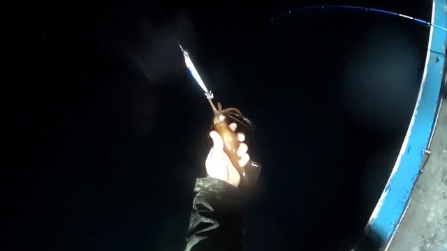 Ловля Кальмара на Сахалине! Воблером или Кальмарницей ? смотреть онлайн