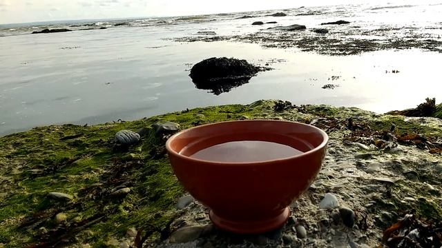 Full moon ritual water Scrying 24th September 2018 смотреть онлайн