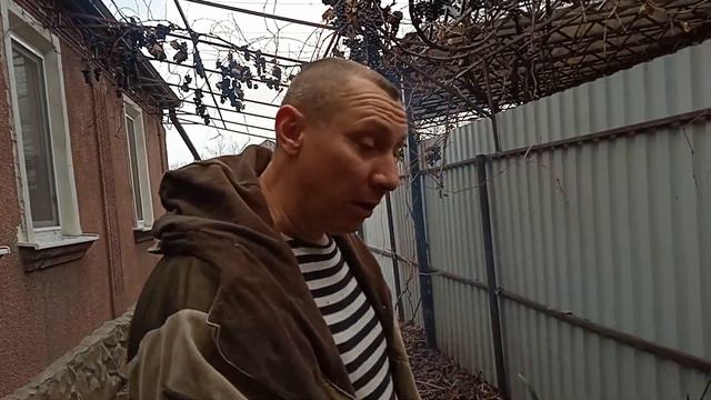 Выходной день. .Прогулка. Купили рыбу - а там... смотреть онлайн