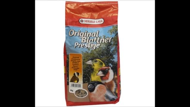 15 Видов Лучших Кормов для лесных Зерноядных Птиц у нас дома .بذور الطيور смотреть онлайн