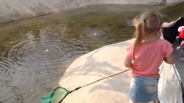 Кира ловит крабов смотреть онлайн