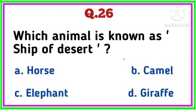 Class 1 & Class 2 GK Questions | General Knowledge Questions for Class 1| GK for Kids | Grade 2 GK смотреть онлайн