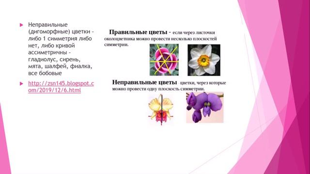 Цветок смотреть онлайн