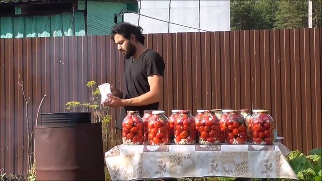 Маринованные помидоры.