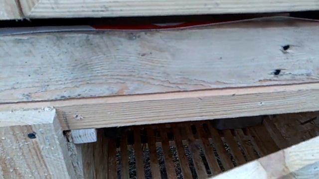 Маточник для кроликов