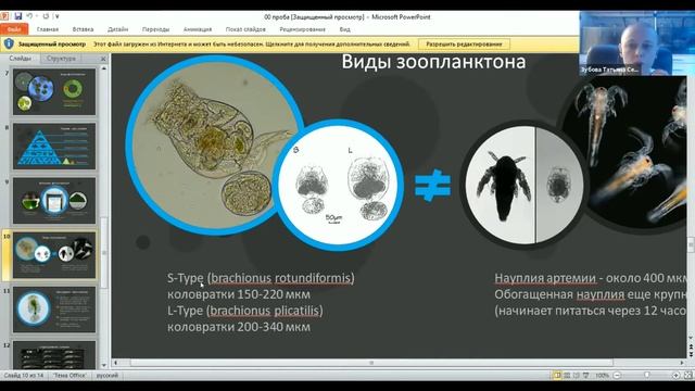 Зубова Т.С. «Разведение морских гидробионтов на примере неоновых бычков (Elacatinus oceanops)» смотреть онлайн