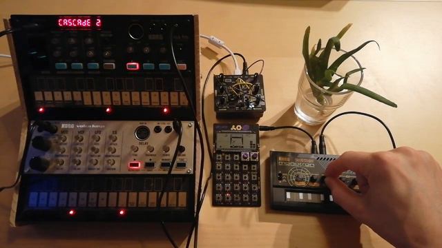 Evening // Volcas, PO-20, Monotron Delay, Bastl Kastle