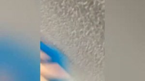 Чистка салона автомобиля Ванишем