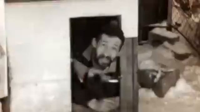 Отжал у собаки будку смотреть онлайн