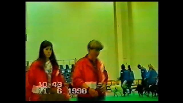 The World Championship for Obedience 1998 смотреть онлайн
