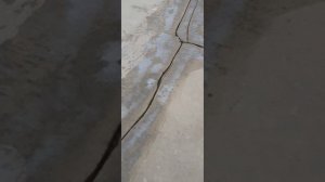 Наливной пол треснул