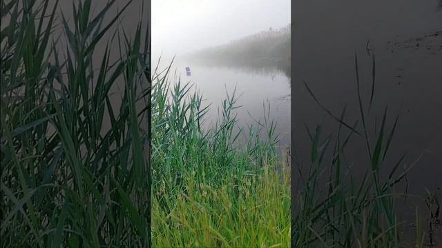 Рыбалка в Краснодарском крае смотреть онлайн