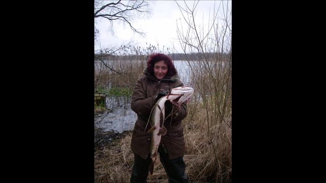 Щуки часть2