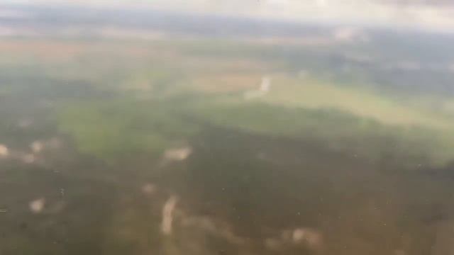 Ева в первый раз летит на самолёте. Встреча с дедушкой и бабушкой#самолёт#первый_полёт#эмоции