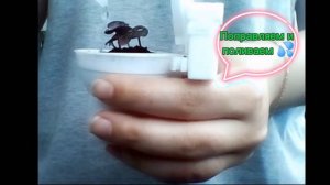 У меня вытянулся базилик 😱🌱