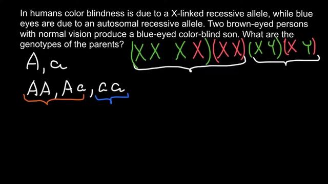 How to Solve Problems With Two Traits - 2 (Genetics) смотреть онлайн