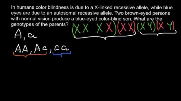 How to Solve  Problems With Two Traits - 2 (Genetics)